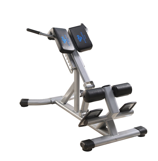 Romain Chair - Back Extension - 416FitnessEquipment